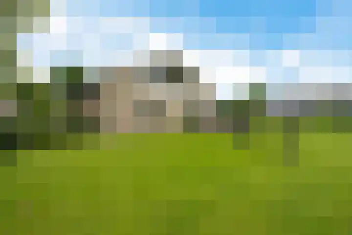 De Slieten 8 Borger thumbnail 47