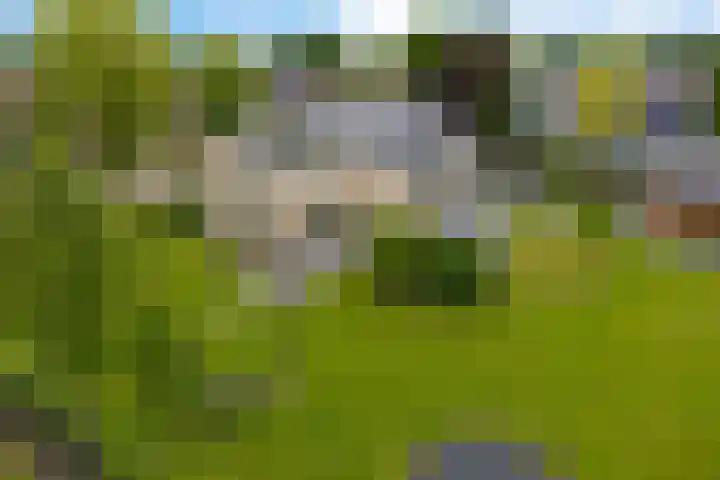 De Slieten 8 Borger thumbnail 48