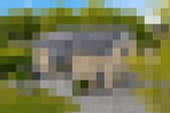 De Slieten 8 Borger thumbnail 49