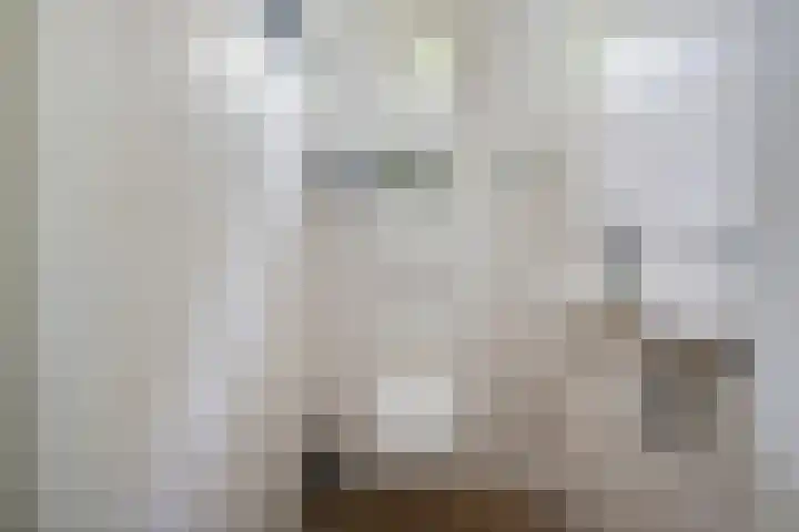 De Slieten 8 Borger thumbnail 5