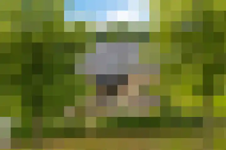 De Slieten 8 Borger thumbnail 52