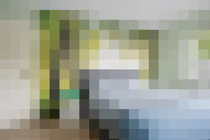 De Slieten 8 Borger thumbnail 7