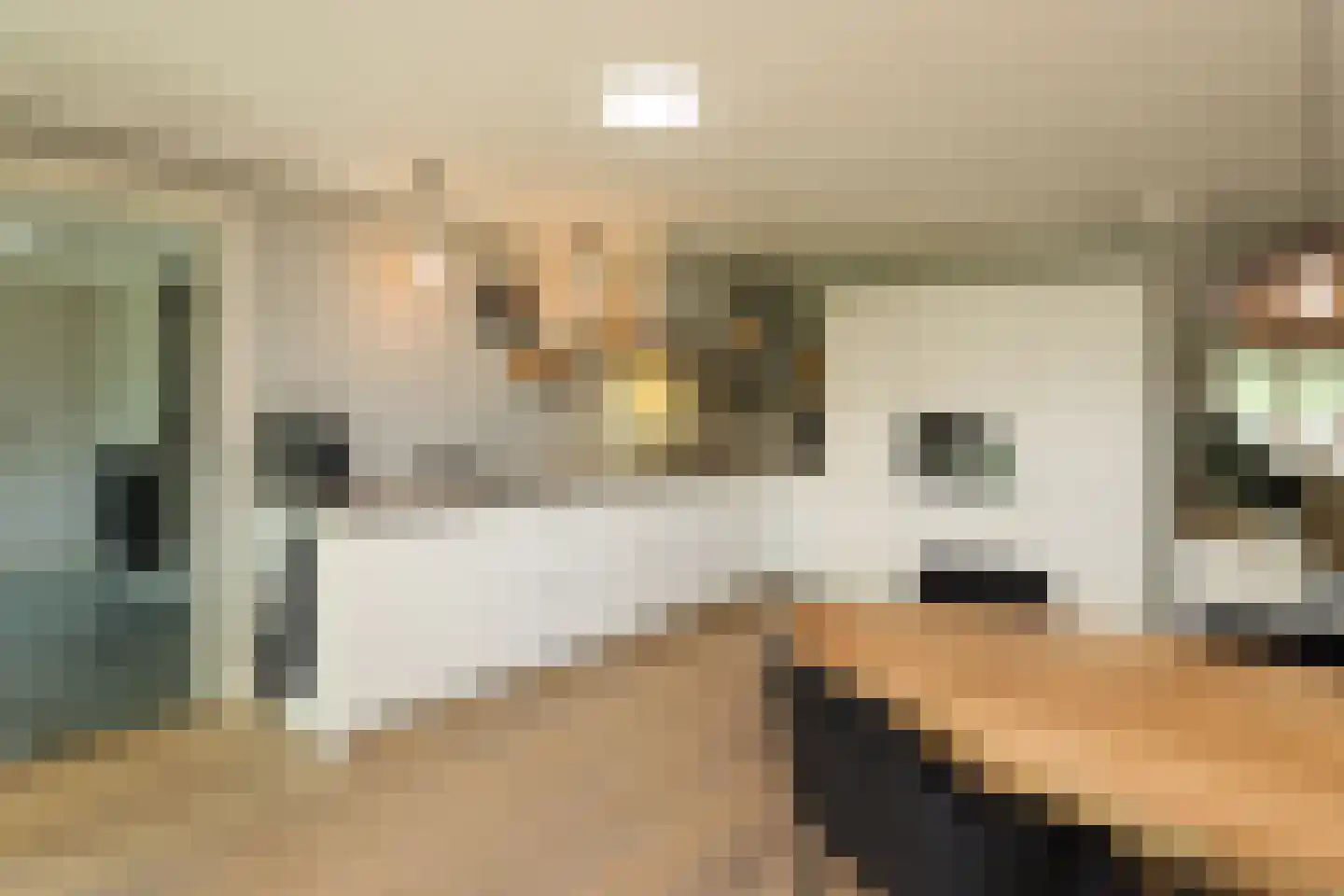 De Slikslede 22 Swifterbant thumbnail 18