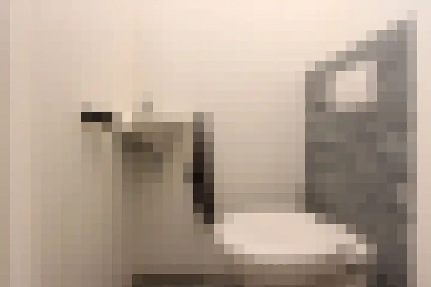 De Slikslede 22 Swifterbant thumbnail 25