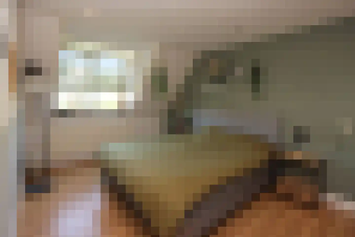 De Slikslede 22 Swifterbant thumbnail 26