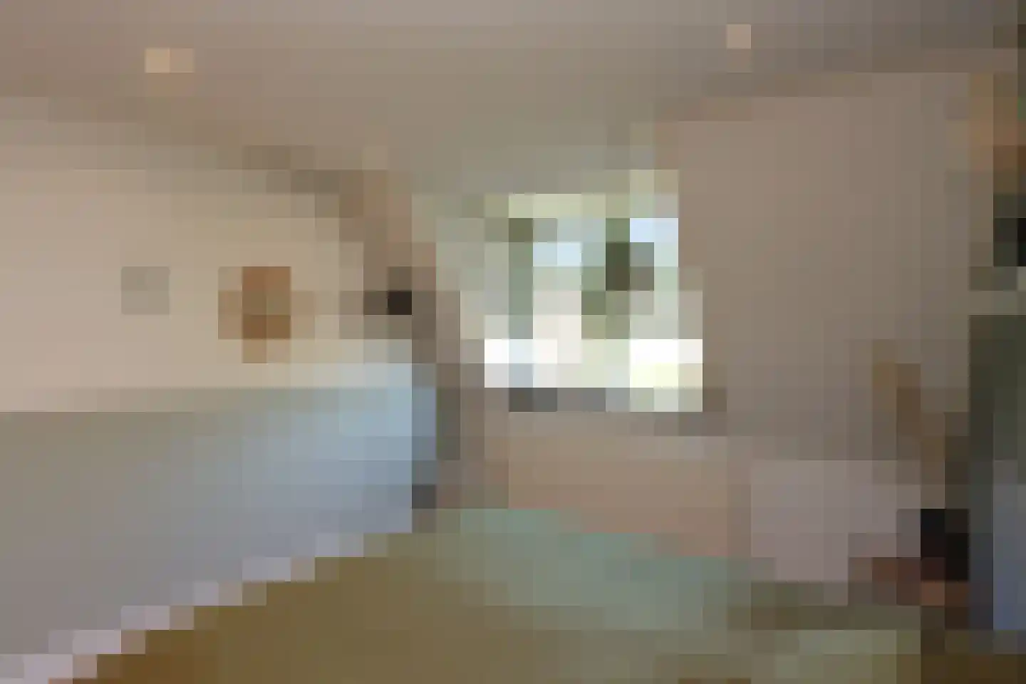 De Slikslede 22 Swifterbant thumbnail 28