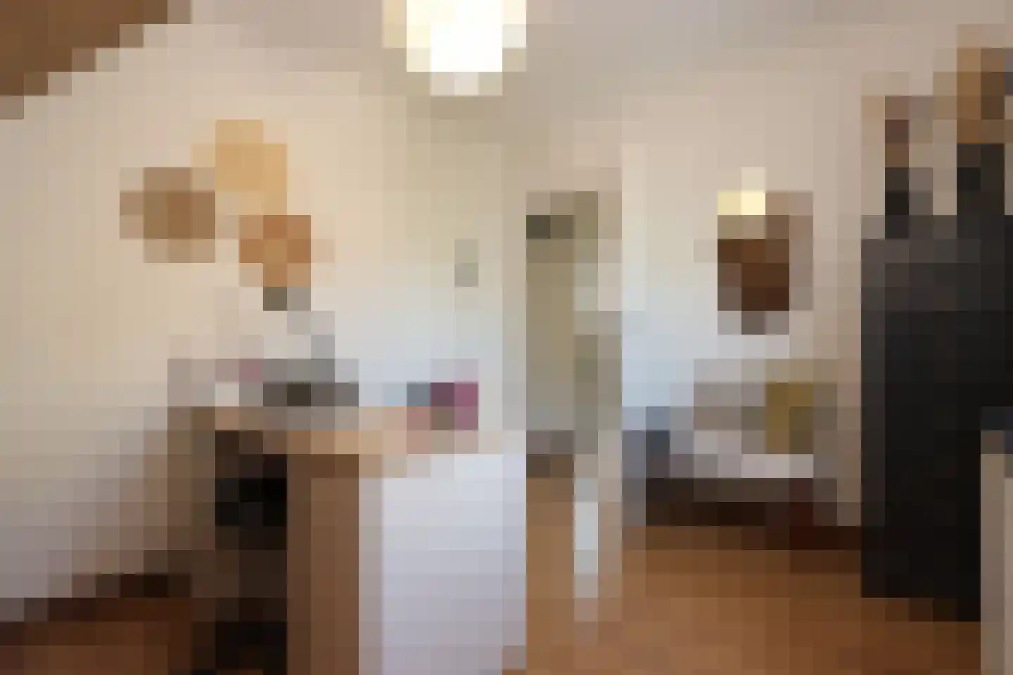 De Slikslede 22 Swifterbant thumbnail 31
