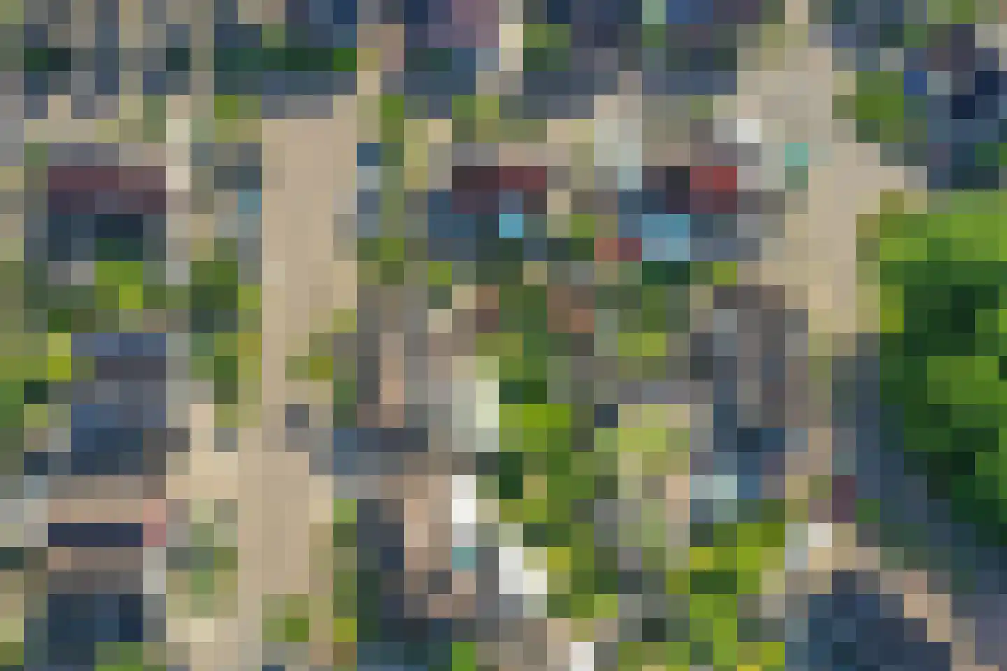De Slikslede 22 Swifterbant thumbnail 46