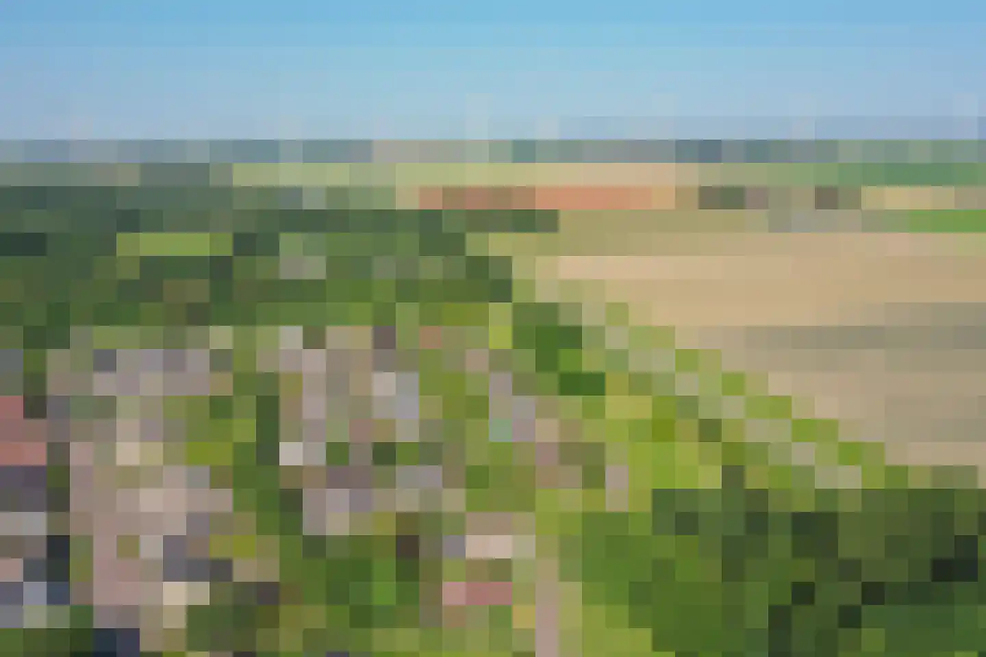 De Slikslede 22 Swifterbant thumbnail 49