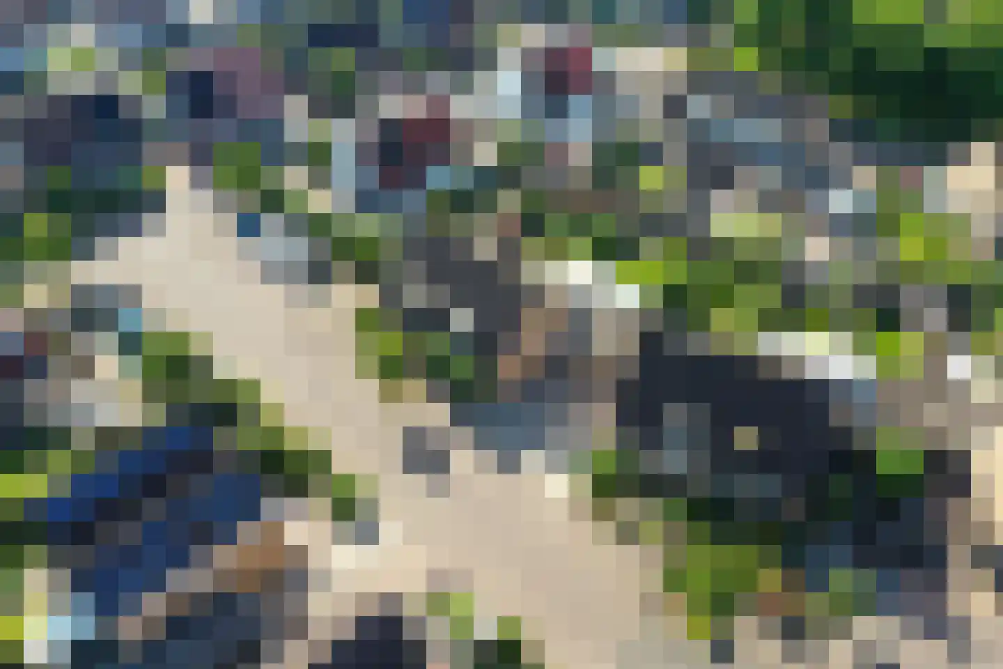 De Slikslede 22 Swifterbant thumbnail 8