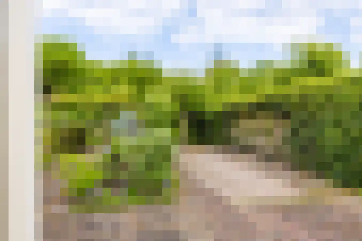 De Slinger 30 Gorredijk thumbnail 13