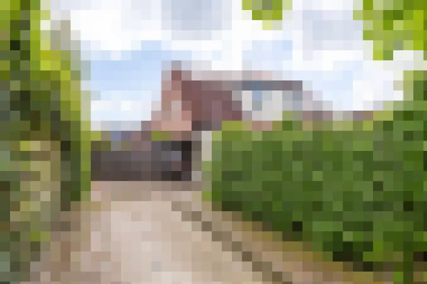 De Slinger 30 Gorredijk thumbnail 14