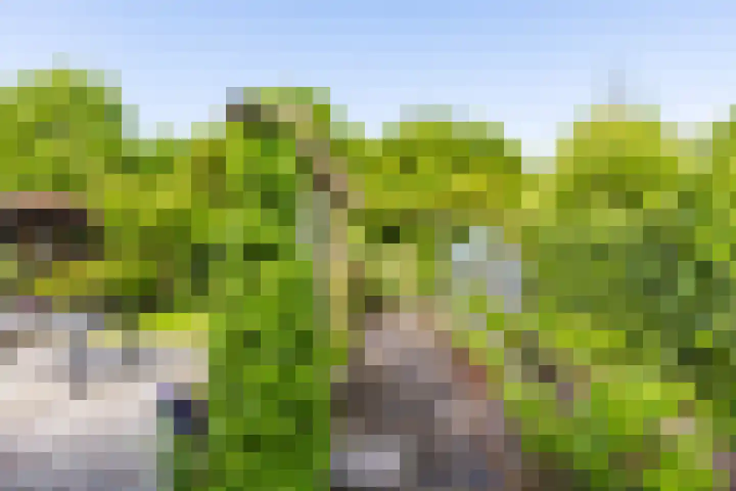 De Slinger 30 Gorredijk thumbnail 17