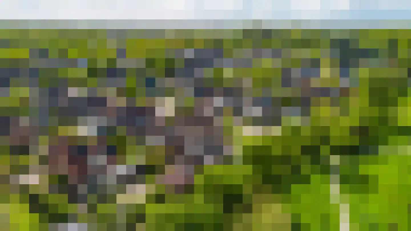 De Slinger 30 Gorredijk thumbnail 27