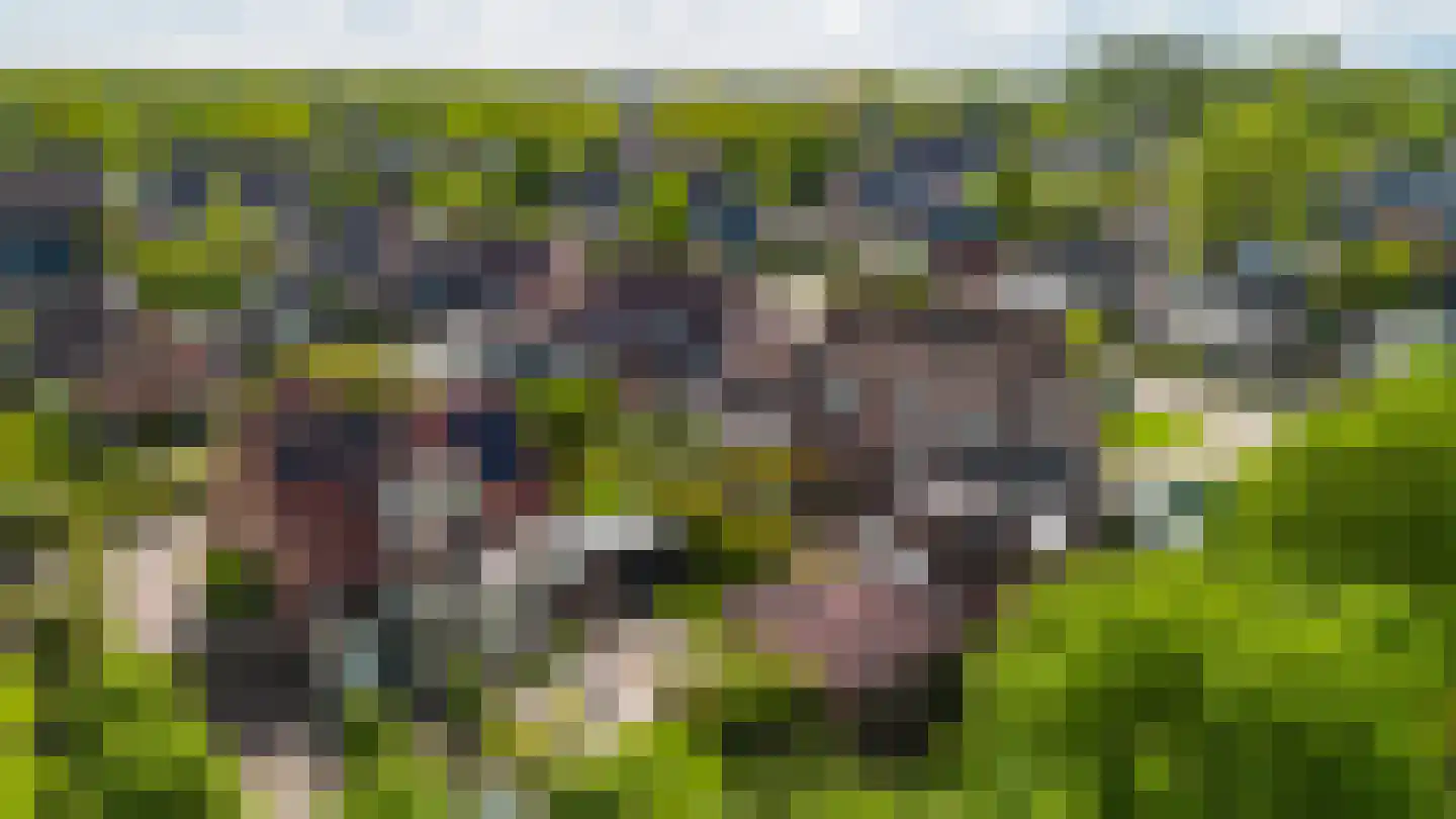 De Slinger 30 Gorredijk thumbnail 28