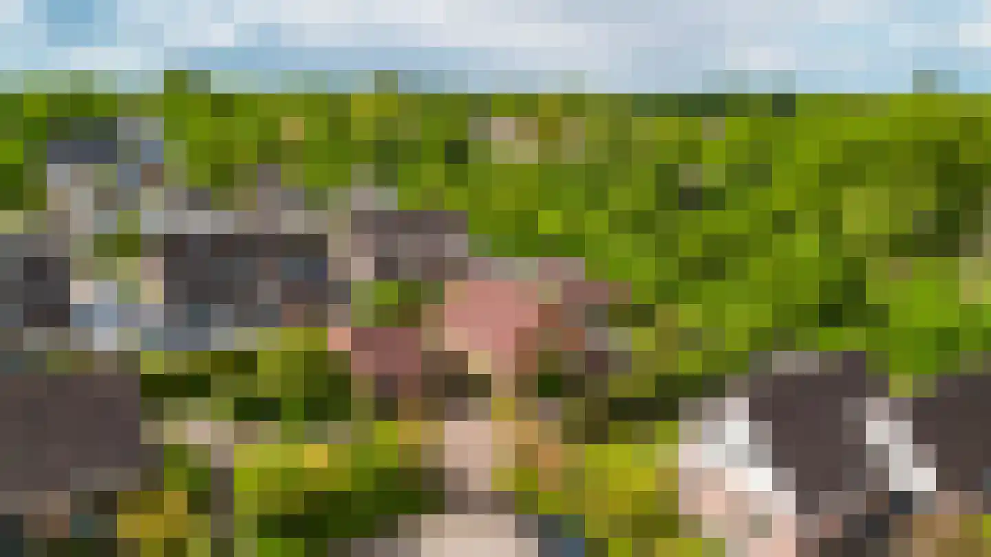 De Slinger 30 Gorredijk thumbnail 30