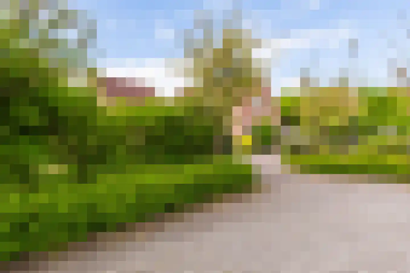 De Slinger 30 Gorredijk thumbnail 32