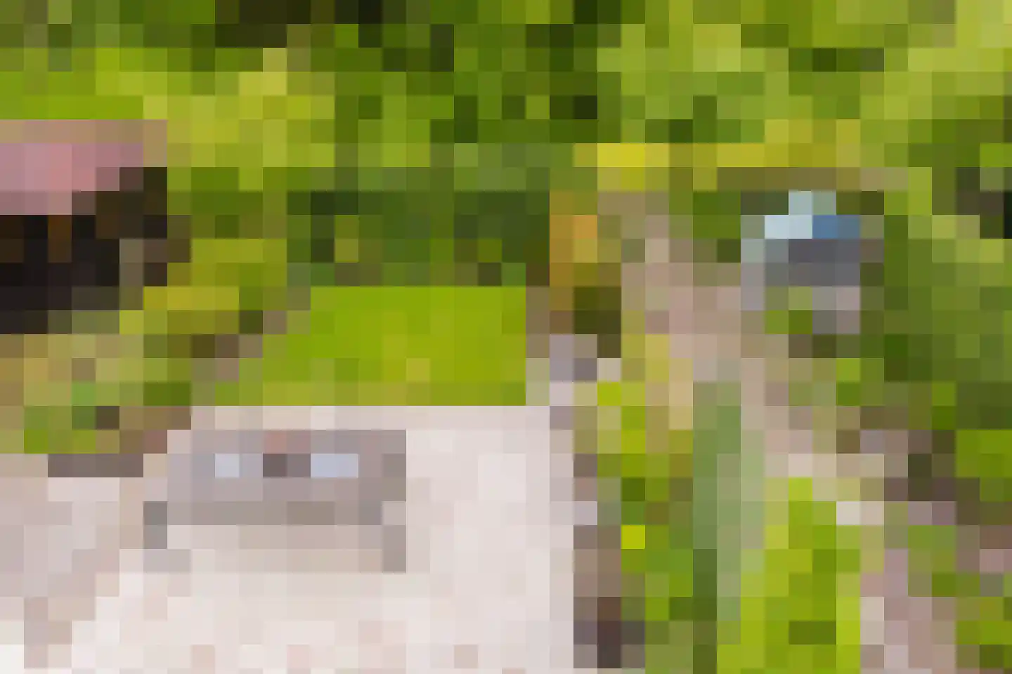 De Slinger 30 Gorredijk thumbnail 33