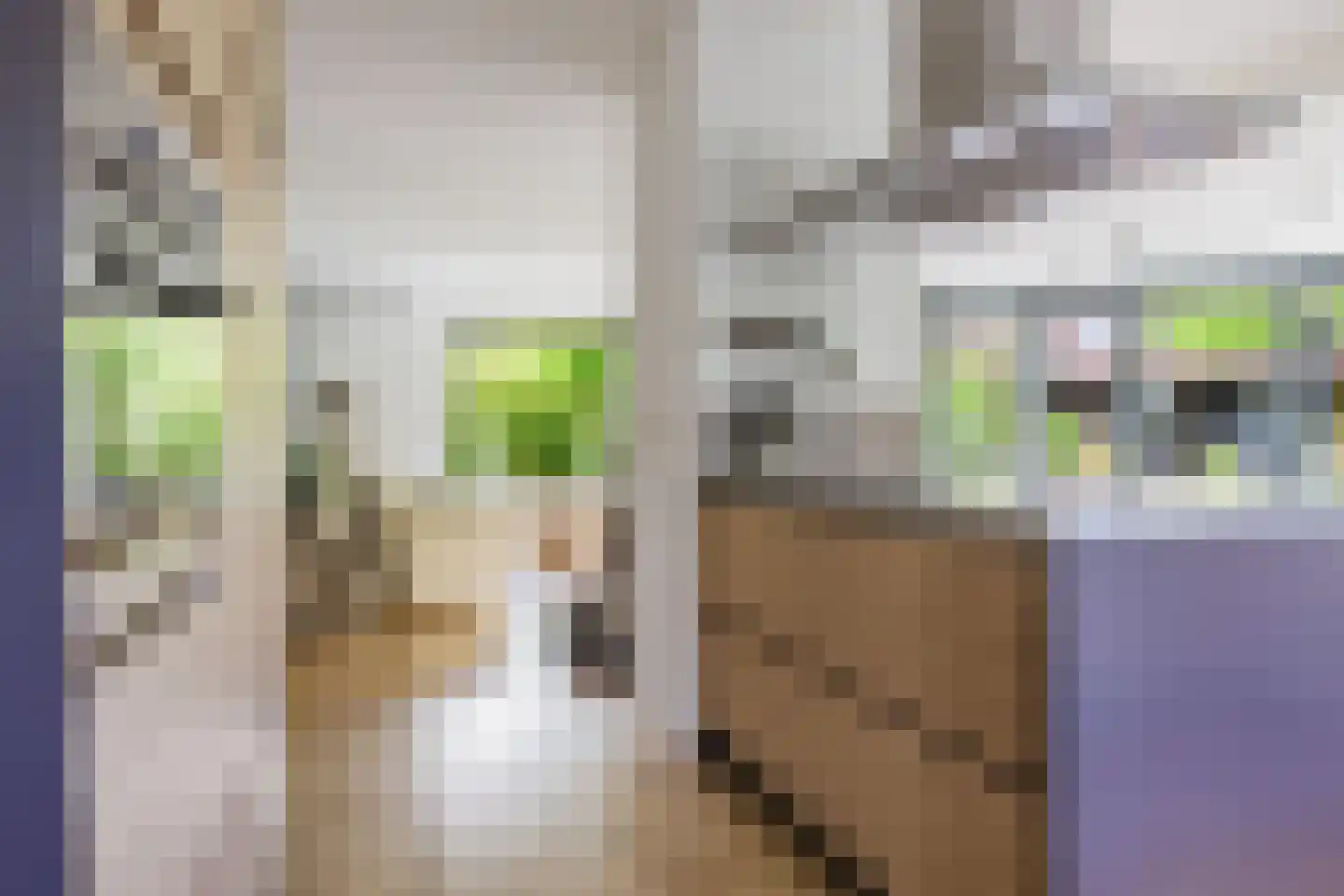De Slinger 30 Gorredijk thumbnail 47