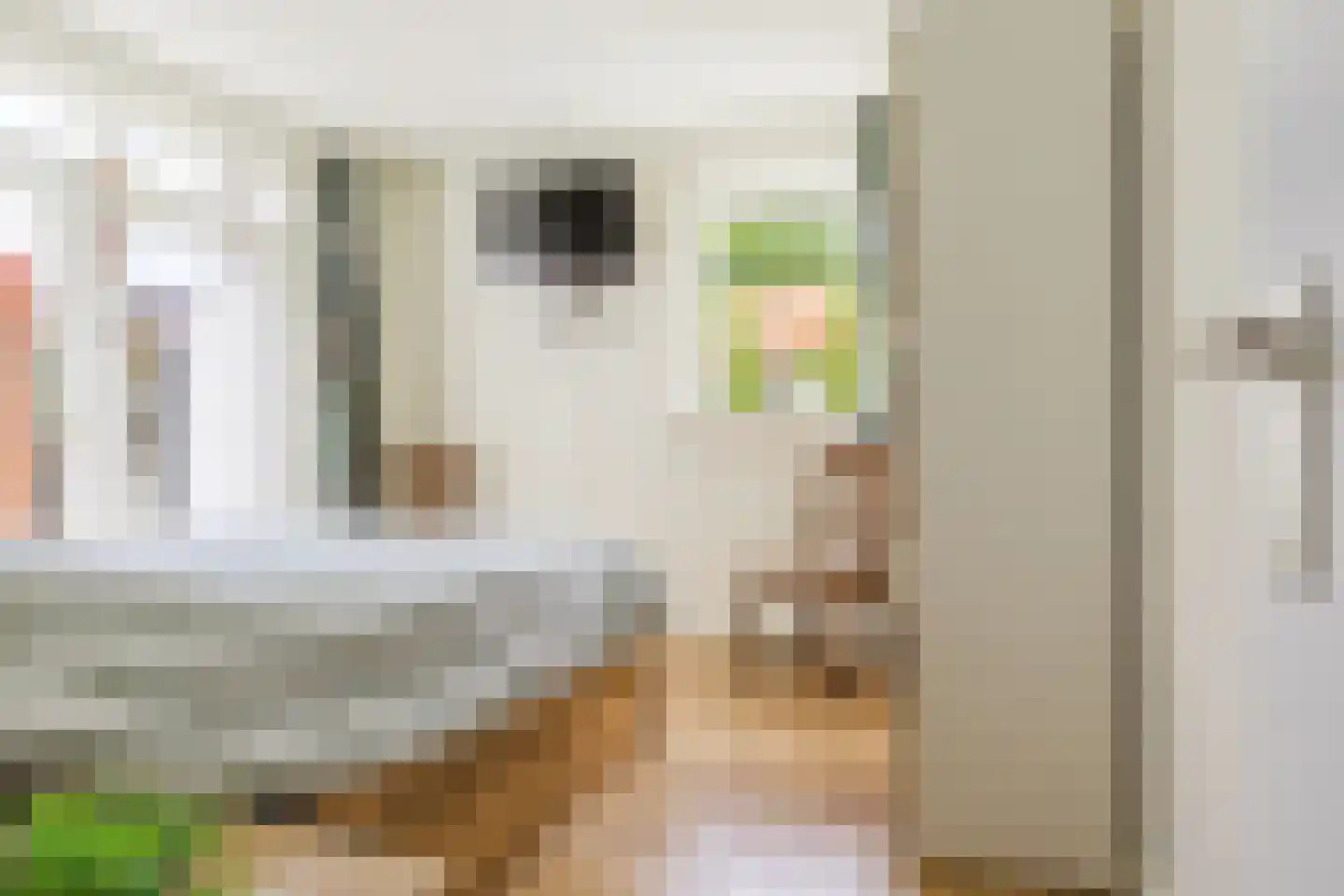 De Slinger 30 Gorredijk thumbnail 50