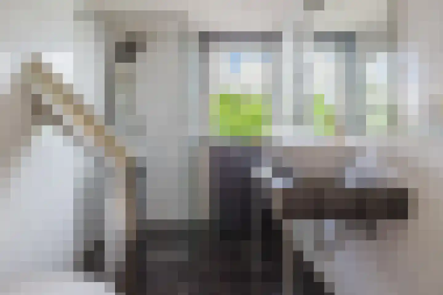 De Slinger 30 Gorredijk thumbnail 56