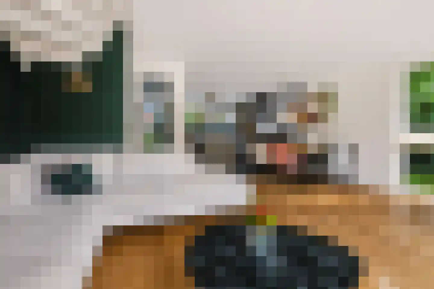 De Slinger 59 Houten thumbnail 11