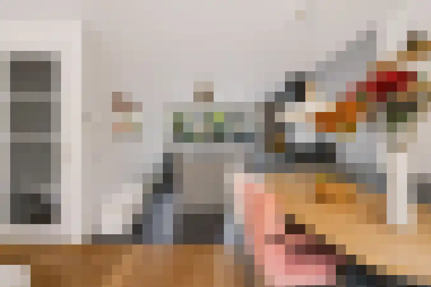 De Slinger 59 Houten thumbnail 15