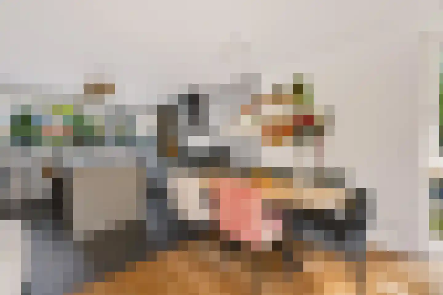 De Slinger 59 Houten thumbnail 16