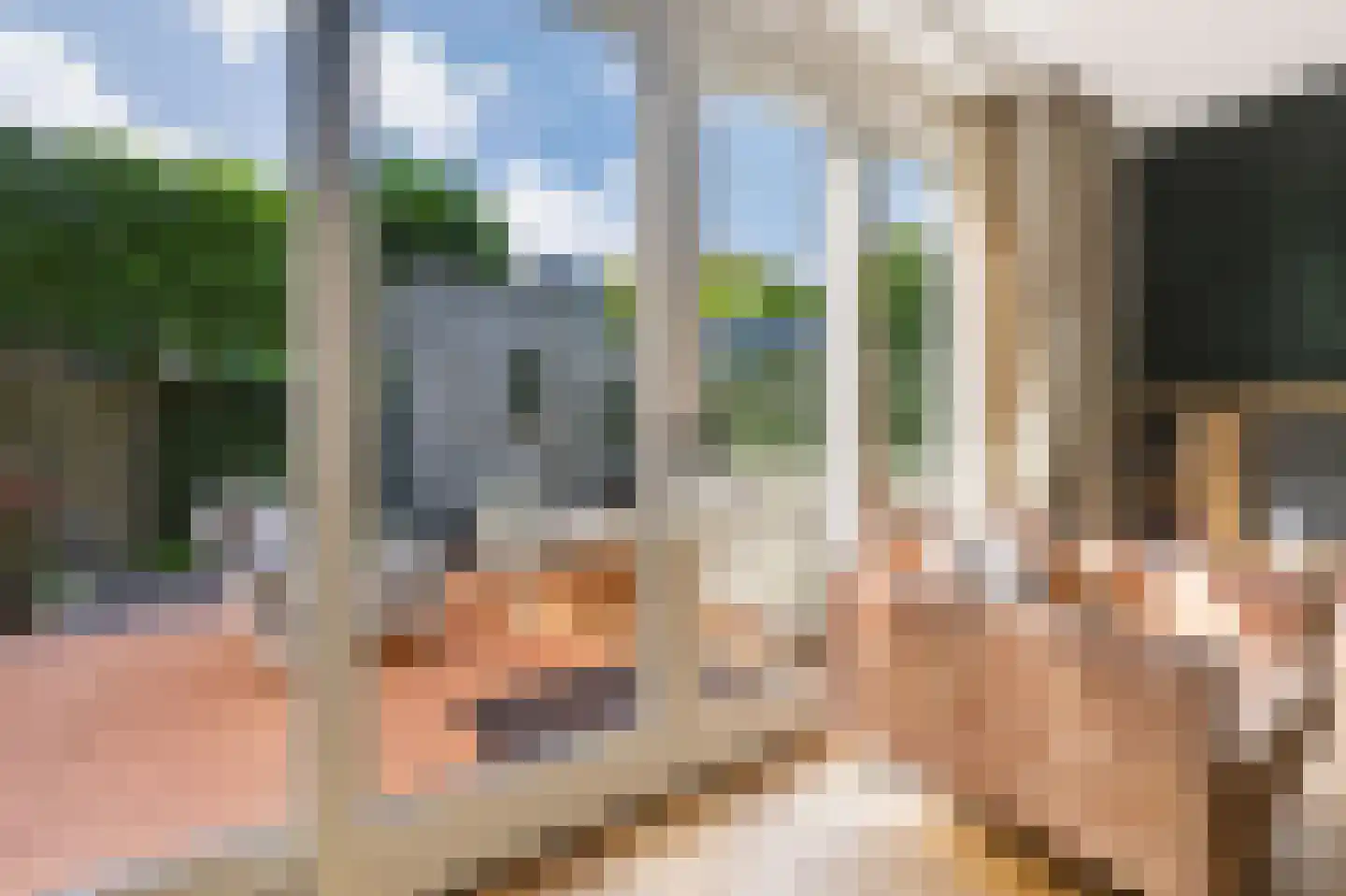 De Slinger 59 Houten thumbnail 21