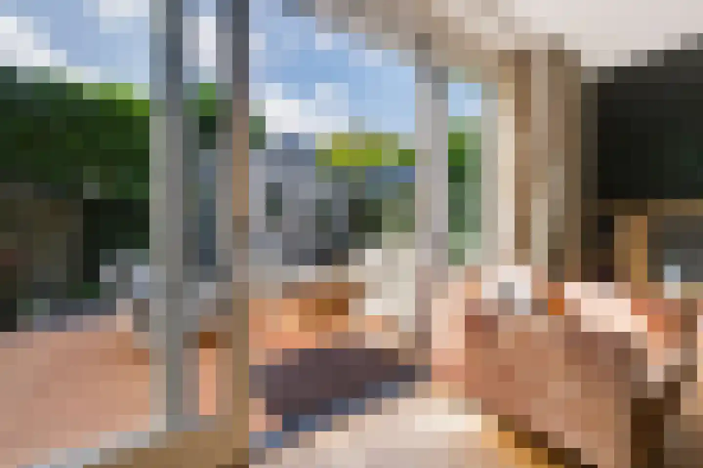De Slinger 59 Houten thumbnail 22