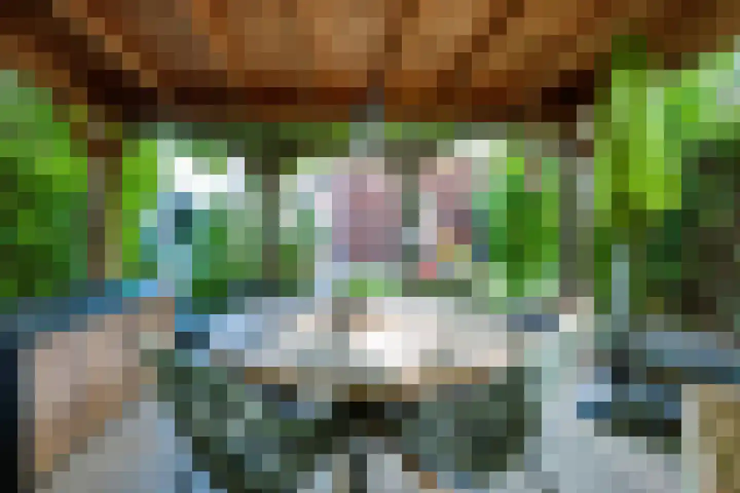 De Slinger 59 Houten thumbnail 28