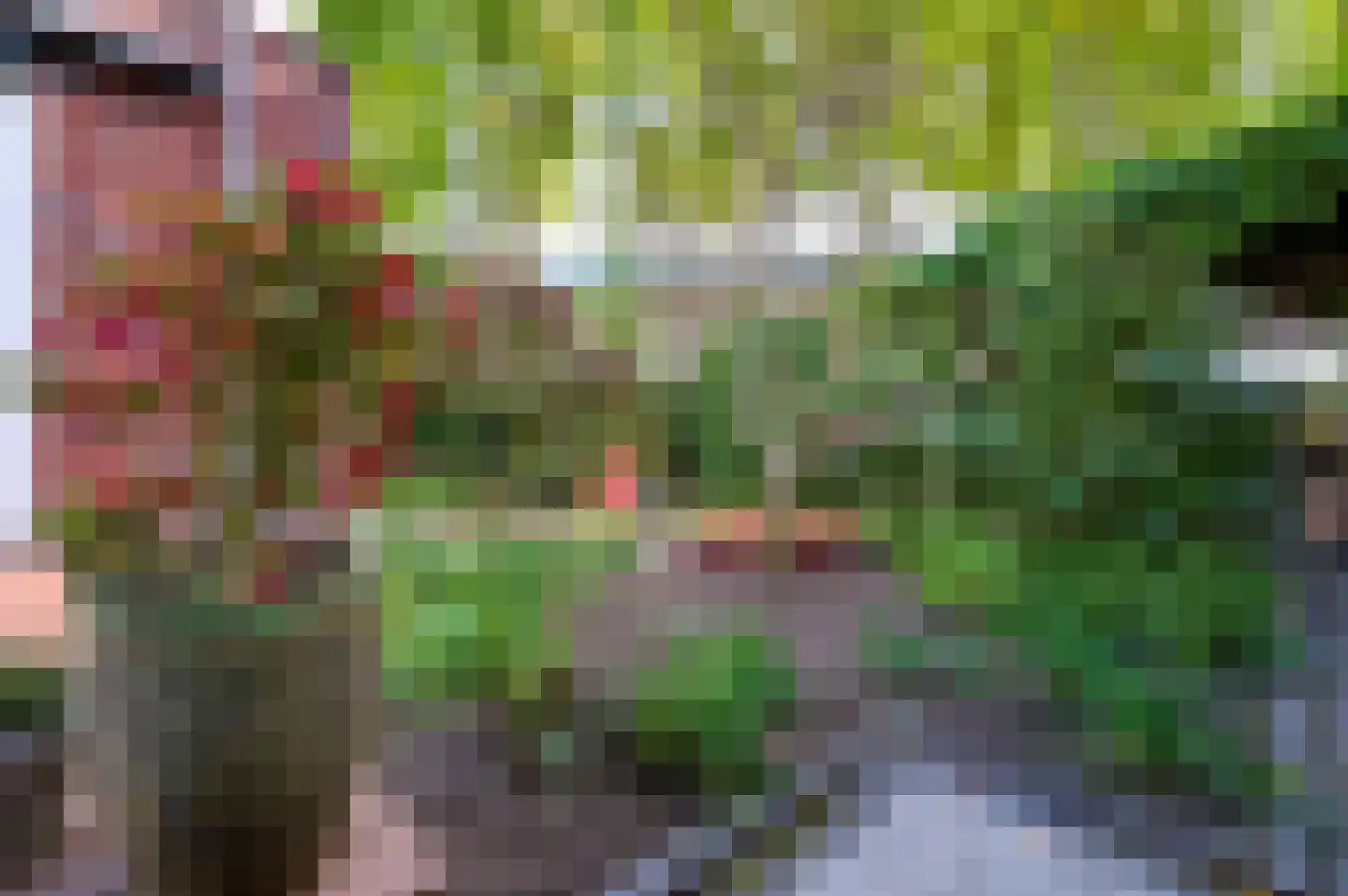 De Slinger 59 Houten thumbnail 29