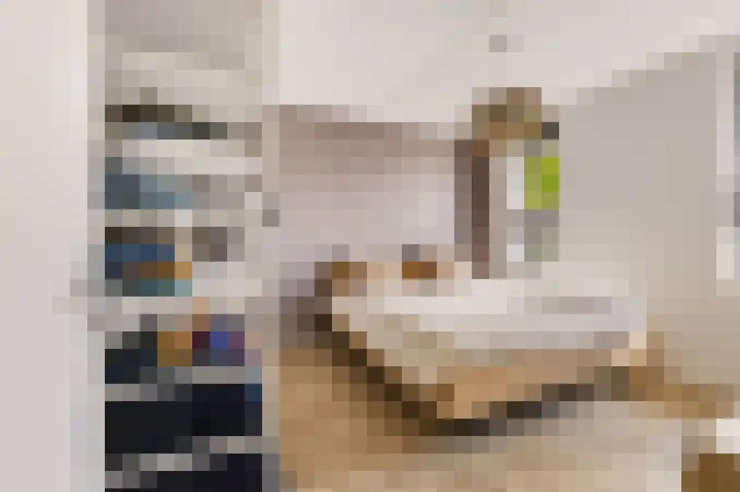 De Slinger 59 Houten thumbnail 30