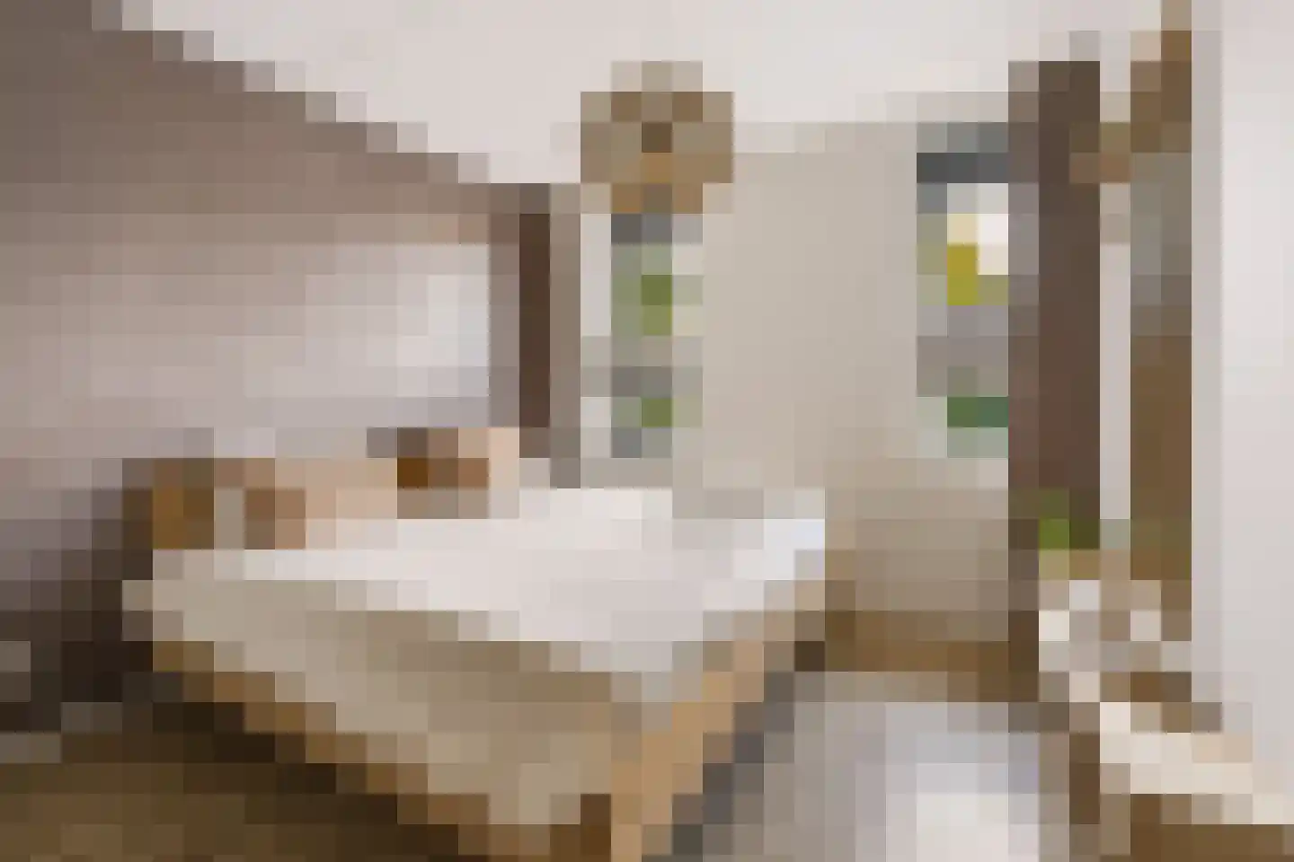 De Slinger 59 Houten thumbnail 31