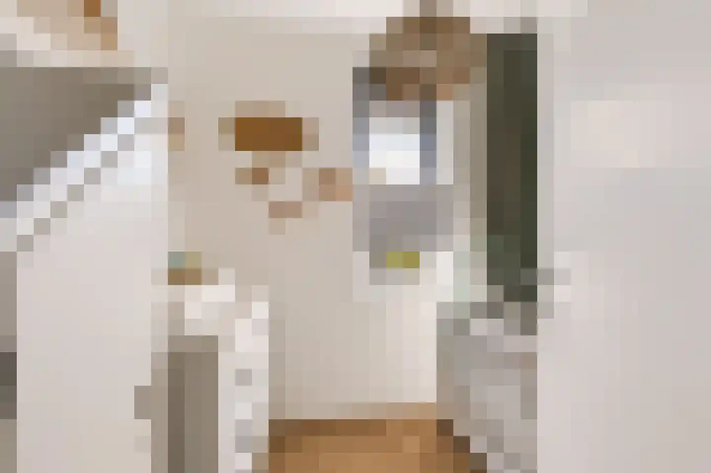 De Slinger 59 Houten thumbnail 36