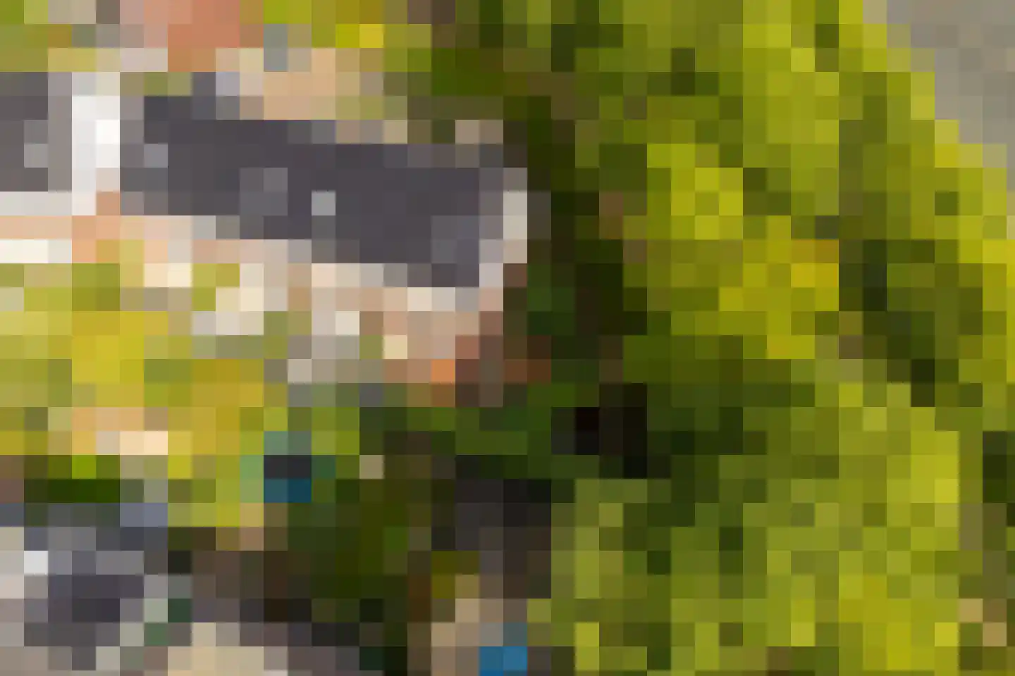 De Slinger 59 Houten thumbnail 4