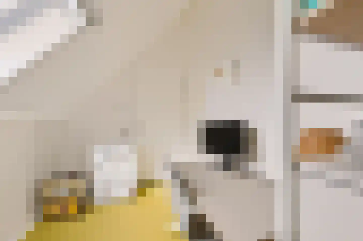De Slinger 59 Houten thumbnail 44
