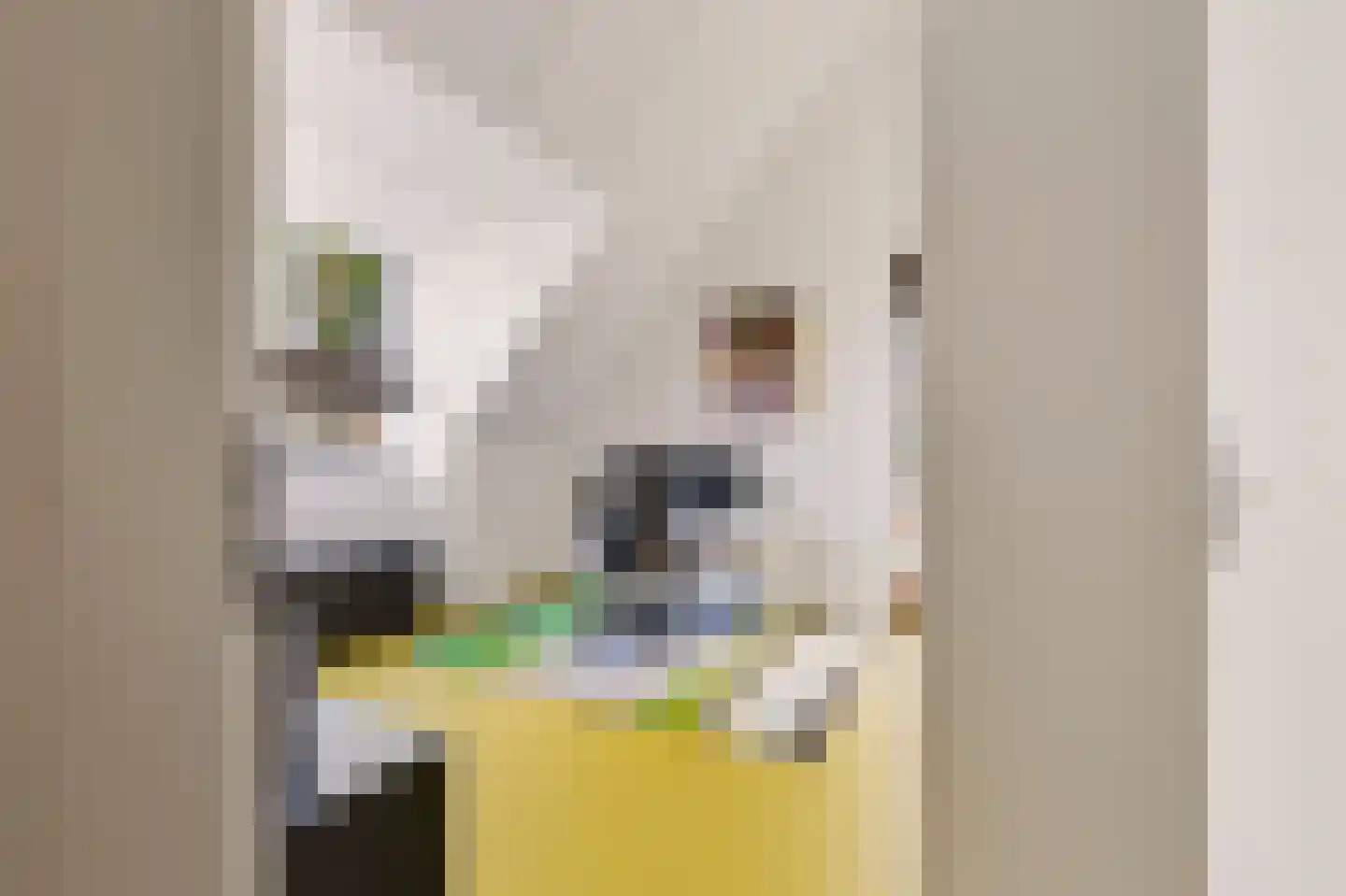 De Slinger 59 Houten thumbnail 45
