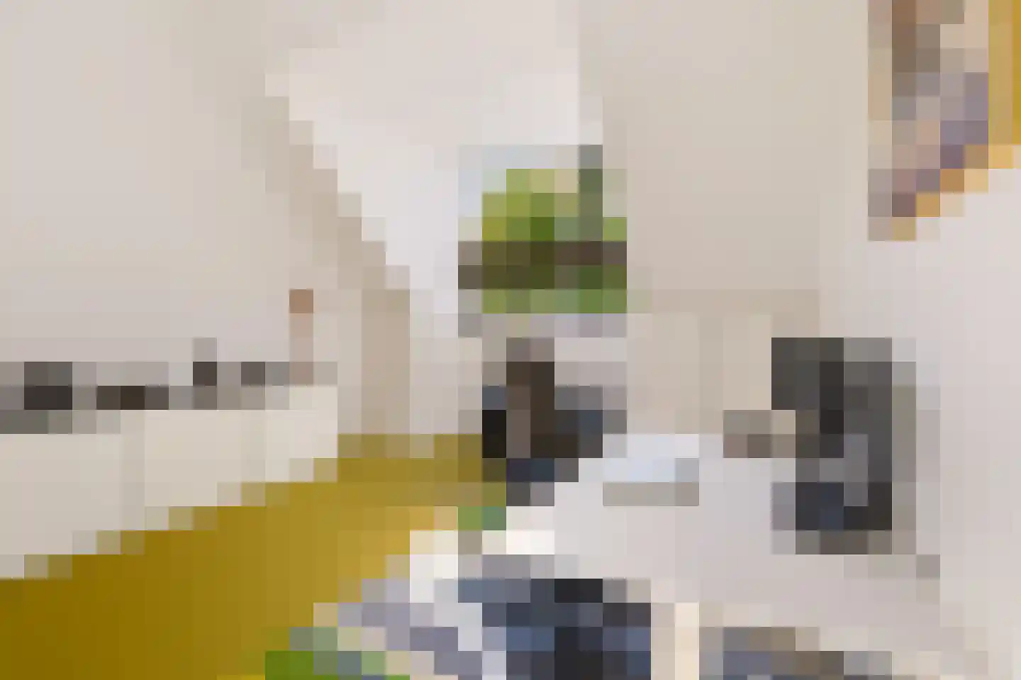 De Slinger 59 Houten thumbnail 47