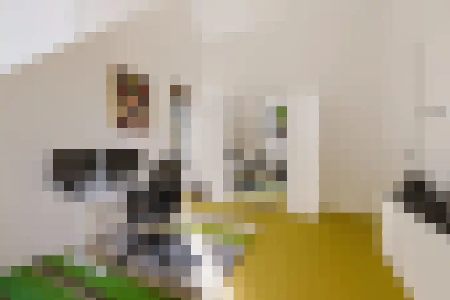 De Slinger 59 Houten thumbnail 48