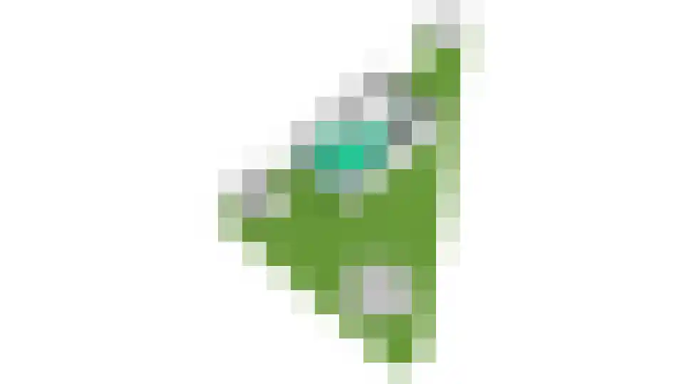 De Slinger 59 Houten thumbnail 64