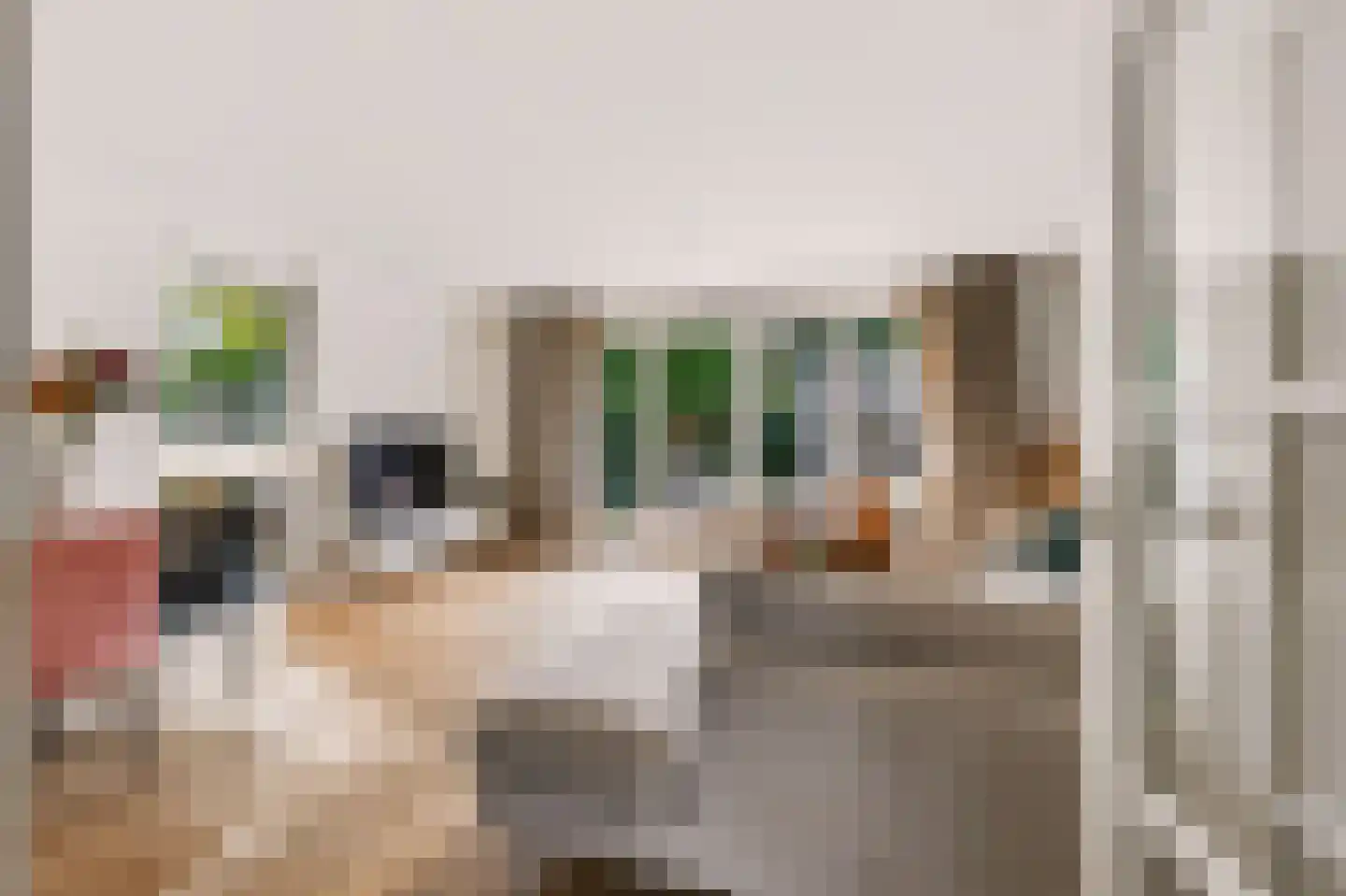 De Slinger 59 Houten thumbnail 9