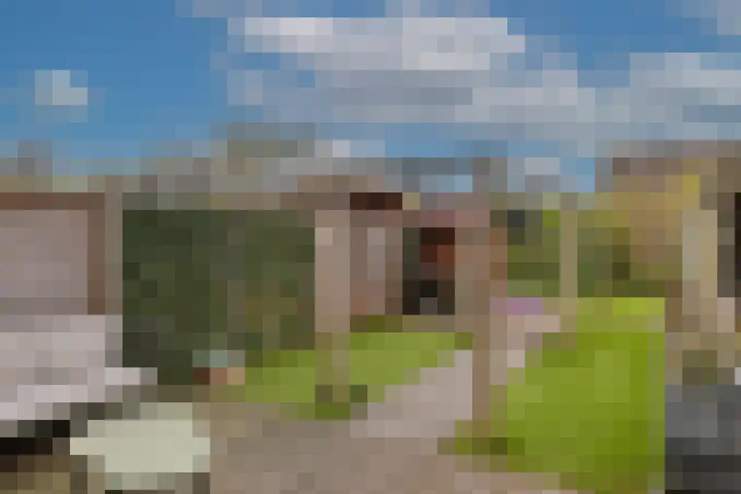 De Slingerkamp 35 Nieuwkoop thumbnail 4