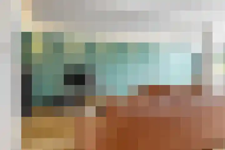 De Slingerkamp 4 Nieuwkoop thumbnail 10