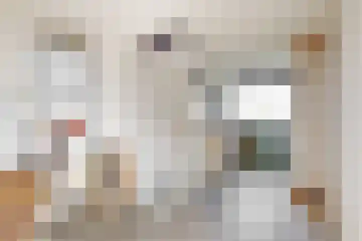 De Slingerkamp 4 Nieuwkoop thumbnail 35