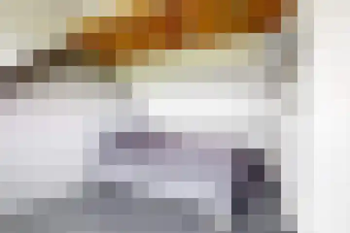 De Slingerkamp 4 Nieuwkoop thumbnail 39