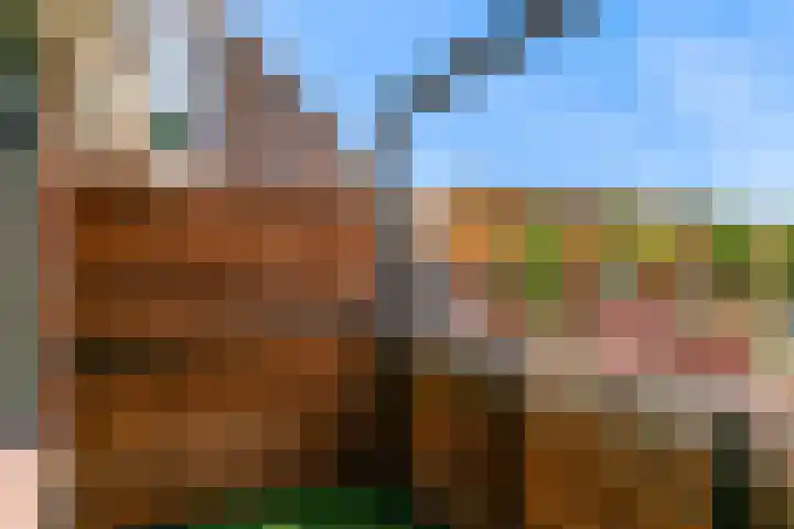 De Slingerkamp 4 Nieuwkoop thumbnail 43