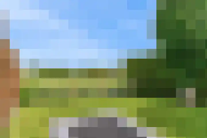 De Slingerkamp 4 Nieuwkoop thumbnail 47