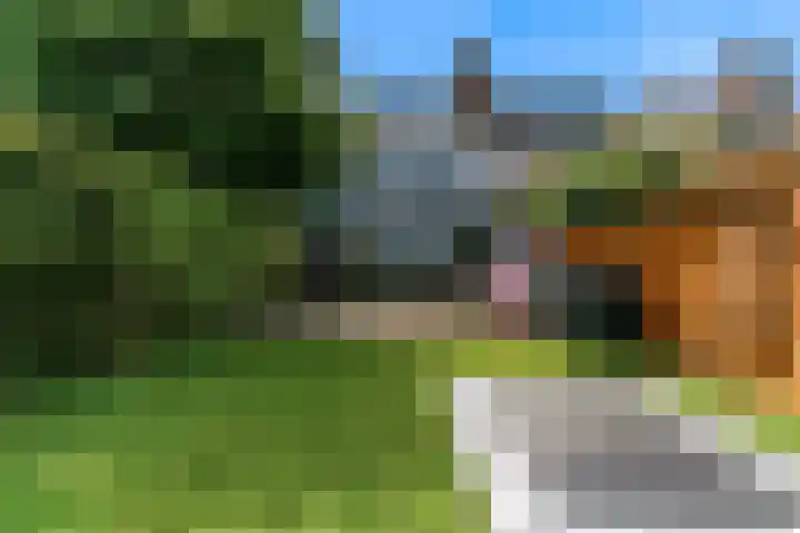 De Slingerkamp 4 Nieuwkoop thumbnail 48