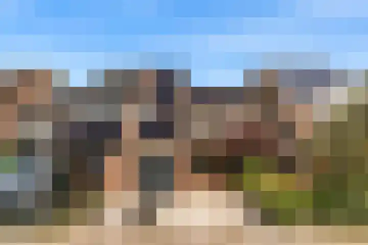 De Slingerkamp 4 Nieuwkoop thumbnail 6